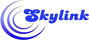 branding logo